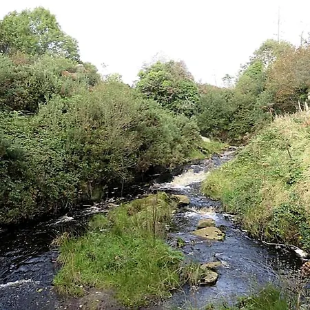 Rustic Glamping For Two By The Shannon Estuary In Country Clare, Ireland Tatil Evi *